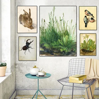 Albrecht Durer Çalışır Posteri Kuş Bitki Modern duvar sanatı Tuval HD Baskı Hayvan Böcek Resim Yatak Odası Ev Dekor Boyama Cuadros