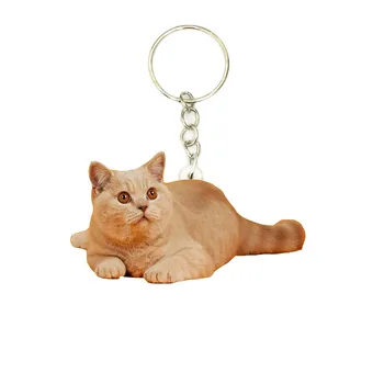 İngiliz Stenografi Akrilik Kedi Anahtarlık Hayvan Kedi Paslanmaz Çelik Anahtarlık Erkekler Araba Anahtarlık Yüzük Hediye Hediyeler Kadınlar için Anahtarlık
