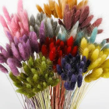 30 adet Vintage Macaron Renk Tavşan Kuyruğu Çim Buket Dekoratif Kurutulmuş Çiçekler Vazo Ev Partisi Dekorasyon Çiçek Düzenleme